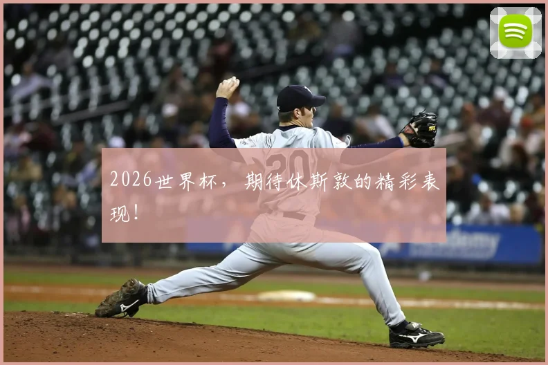 2026世界杯,期待休斯敦的精彩表现!