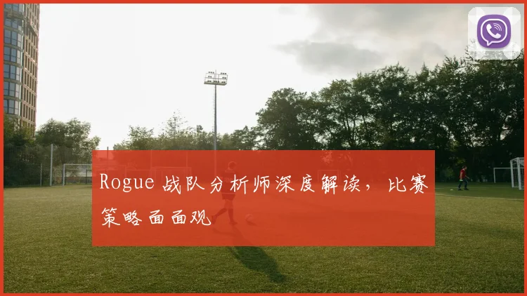 Rogue 战队分析师深度解读，比赛策略面面观