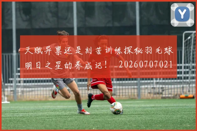 天赋异禀还是刻苦训练探秘羽毛球明日之星的养成记！_20260707021810